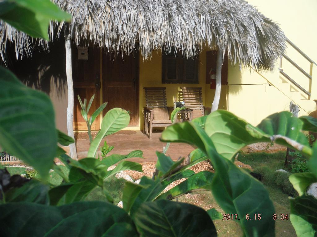 Kudehya Guesthouse Treasure Beach Kültér fotó